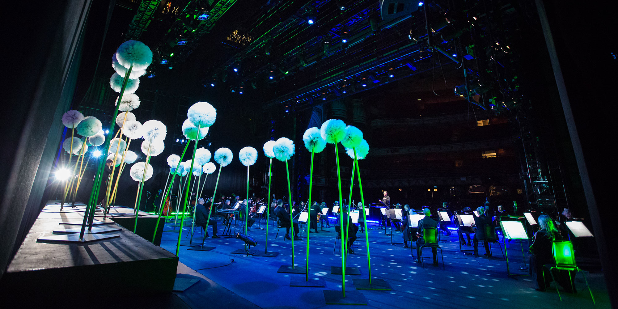 Dandelions on stage